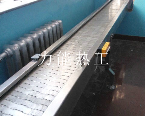 扬州链板输送机