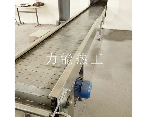 扬州链板输送机