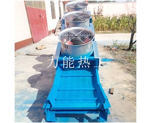 扬州链板提升机