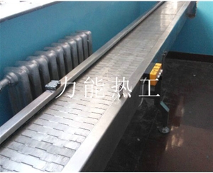 扬州链板输送机