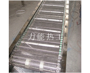 扬州链网输送机