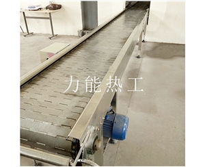扬州链板输送机
